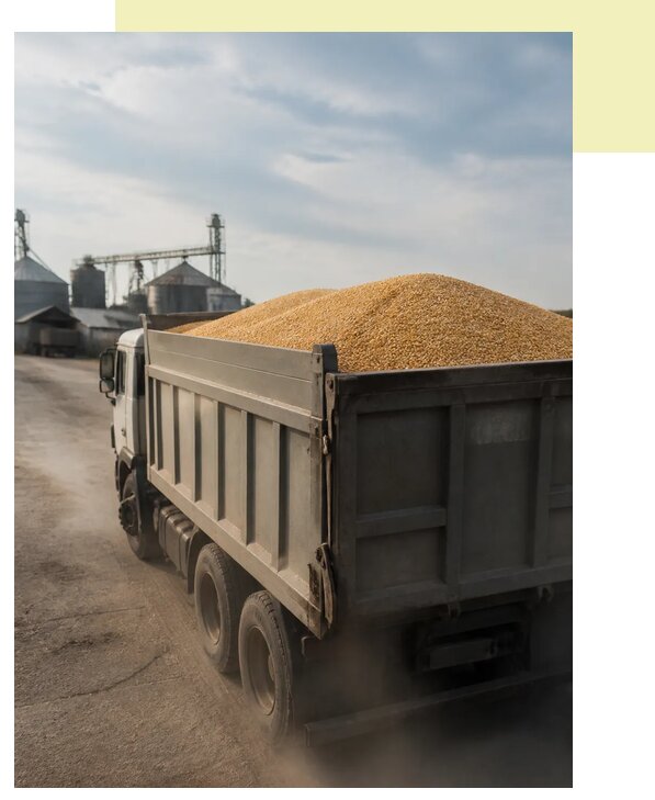 Перевозка сельхозпродукции навалом в Усть-Лабинск по цене от 3065 р. | Агросервис-Улб