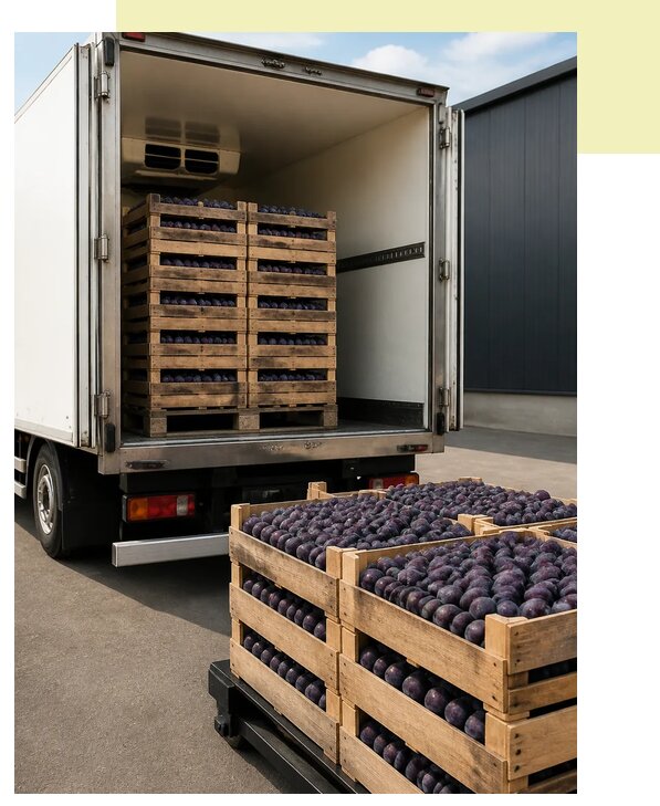 Перевозка слив рефрижератором в Усть-Лабинск по цене от 5108 р. | Агросервис-Улб